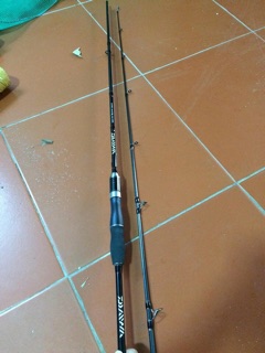Cần câu lure DAWA máy đứng
