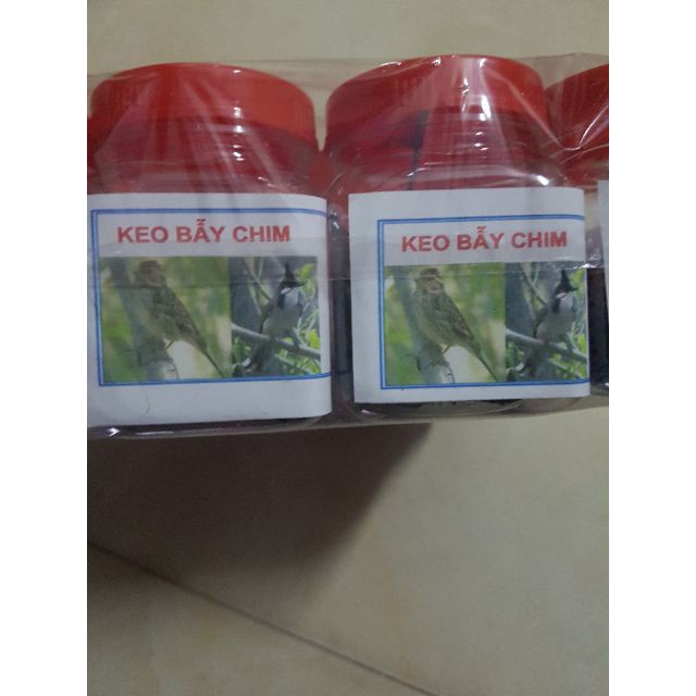 ( khuyến mại ) Keo bẫy chim siêu dính ( đại hạ giá )