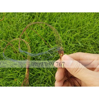 Bẫy Giò Chim Cu Gáy Mồi đất cáp 432