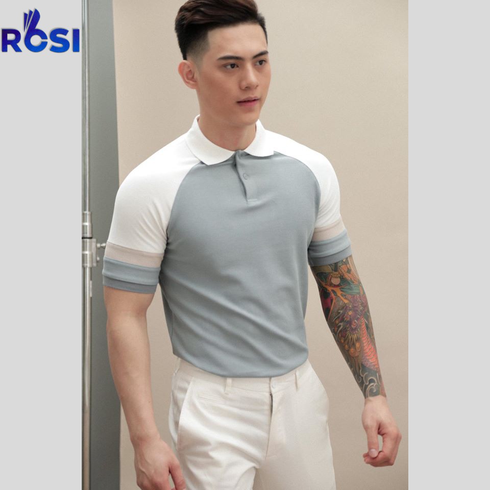 [100% Cotton] Áo Polo Nam - Hàng Thiết Kế Chính Hãng Rosi / Mã Áo: P02 | BigBuy360 - bigbuy360.vn