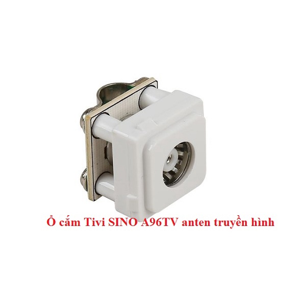 Hạt Tivi Sino S19 - Ổ Cắm Anten Tivi - A96TV
