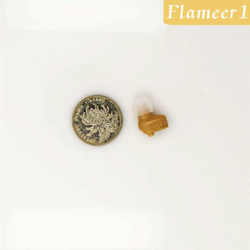 Thiết Bị Khuếch Đại Âm Thanh Kỹ Thuật Số Mini Điều Chỉnh Tone AXON K-188 K-1