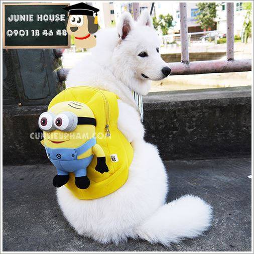 Balo Minion cho chó lớn
