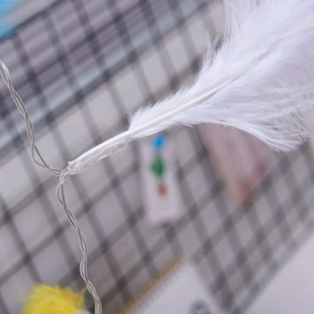 Dây đèn led phối lông vũ trang trí lãng mạn