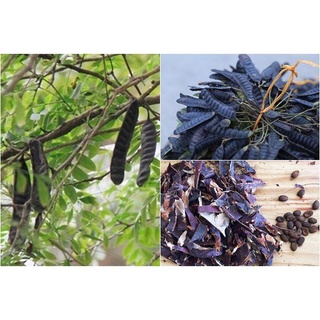 [KHUYẾN MÃI] Quả bồ kết khô cao cấp ( gói 1kg)