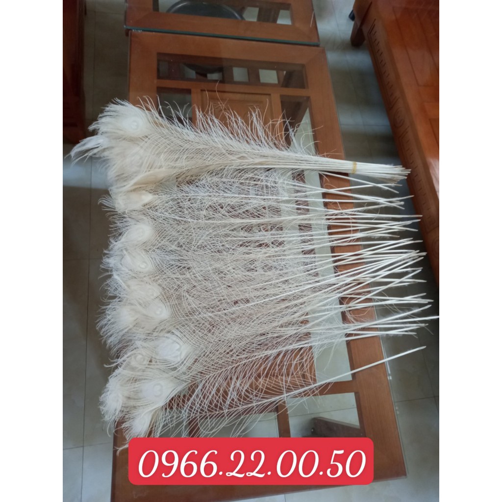 lông công trắng đẹp giá rẻ dài 70_80 cm | BigBuy360 - bigbuy360.vn
