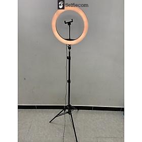 Bộ chân đế tripod có đèn led 33cm 3 chế độ sáng - Hỗ trợ chụp ảnh livestream, quay video hiệu quả - Hàng chính hãng