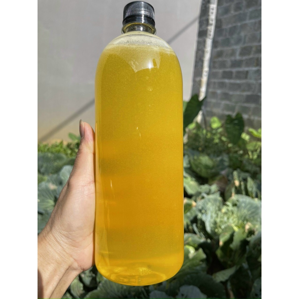 Mật Ong Hoa Bạc Hà - Cam Kết Mật Ong Chuẩn 100%
