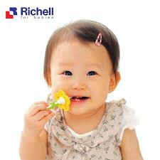 Bàn Chải Richell ( Từ 3M đến 12M)