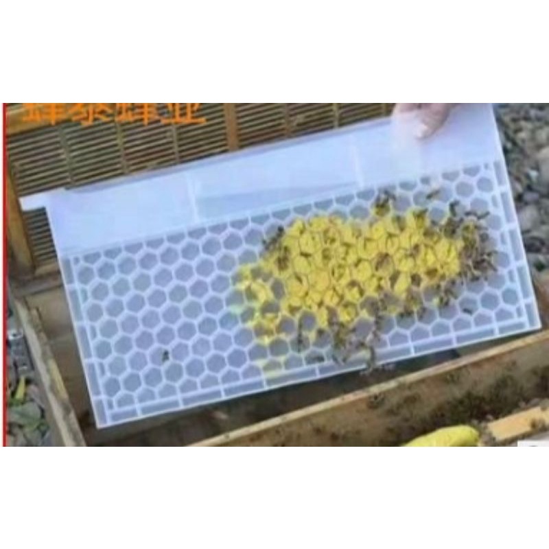 Cầu bo phấn cho ong kích thước cầu 48