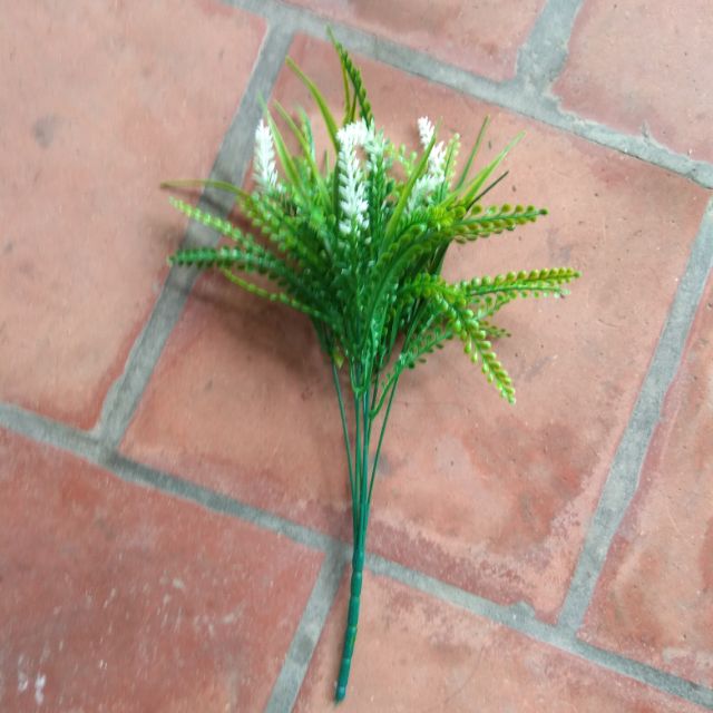 cành điểm chồn