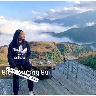 #adidas authentic