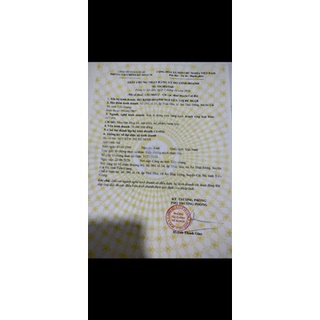 Trà Đẹp Dáng Vị Đào