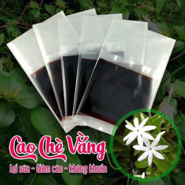 Cao chè vằng quảng trị 1 lá thơm ngon date mới nhất