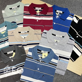 Áo Thun Nam Trung Niên ZEO Cổ Bẻ Tay Ngắn - Chất Liệu Cotton Cao Cấp, Form Rộng Rãi