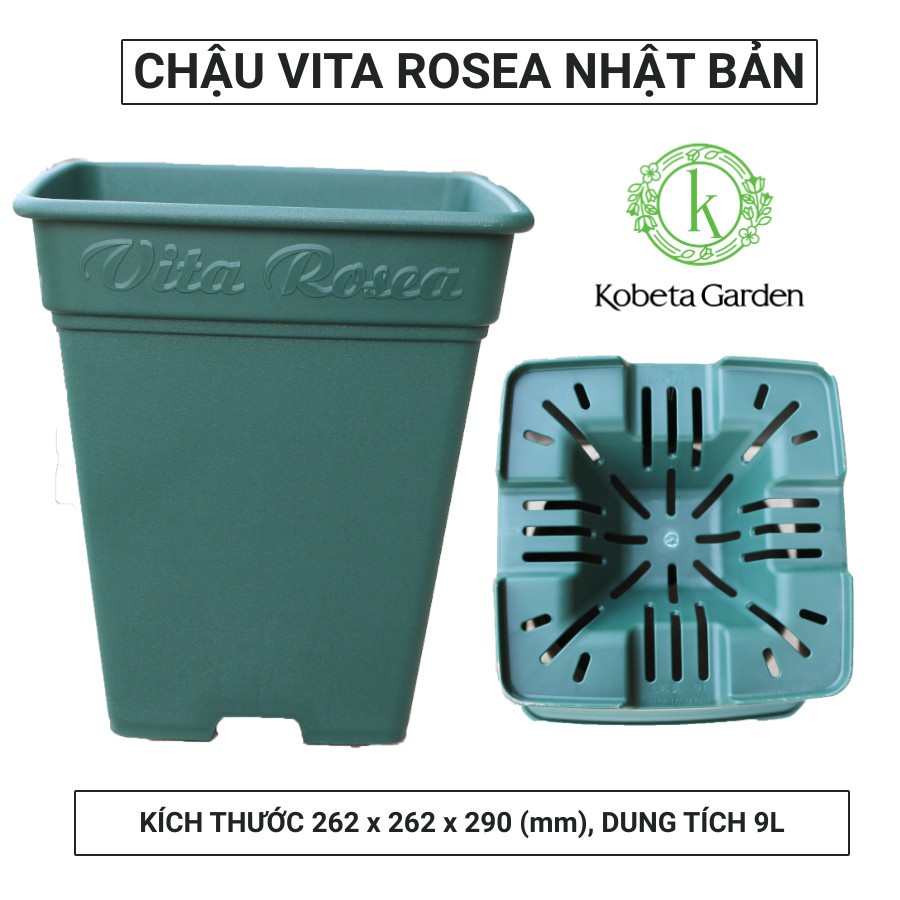 CHẬU NHẬT CHUYÊN TRỒNG HOA HỒNG ROSE SQUARE MÀU XANH- KOBETA GARDEN