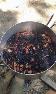 Cao hà thủ ô đỏ nhà làm