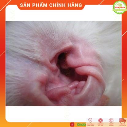 Bột nhổ lông tai cho chó mèo Spirit ️, Petis ️ FREESHIP ️ không đau, kích ứng da, mau khô, kháng khuẩn | PetZoneHCM