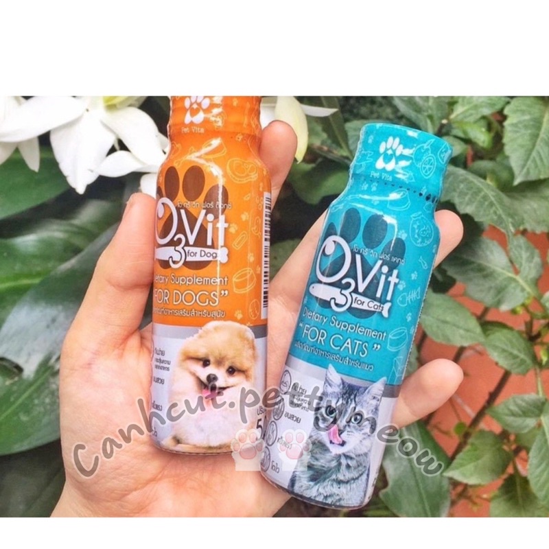 SYRUP KÍCH ĂN MÈO - O3VIT BỔ SUNG OMEGA3 DHA , LÀM MƯỢT LÔNG, BỔ SUNG DƯỠNG CHẤT CHO MÈO