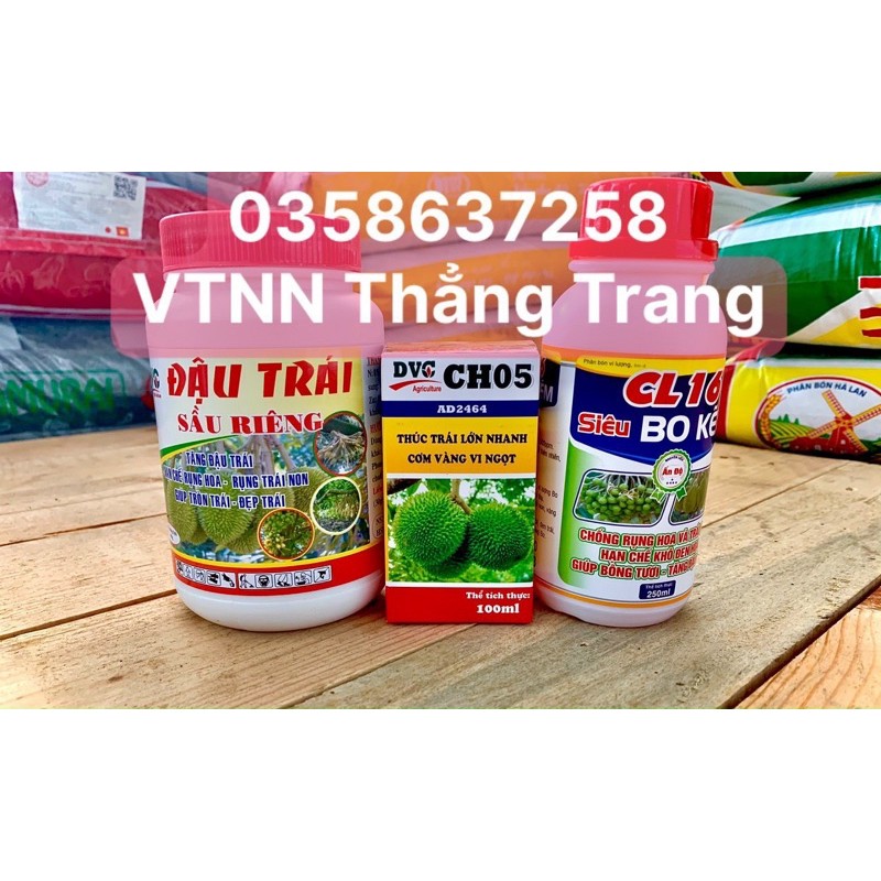 BỘ ĐẬU TRÁI SẦU RIÊNG