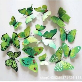 Bộ bướm trang trí 12 con