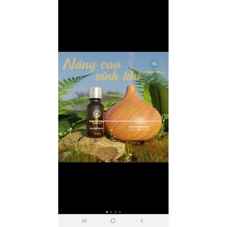 Tinh dầu Thảo dược Cửa Sổ Vàng (20ml)