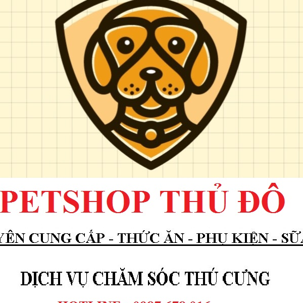 PETSHOPTHUDO