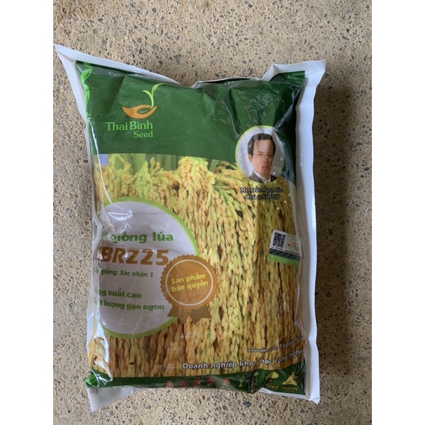 Hạt giống lúa TBR225