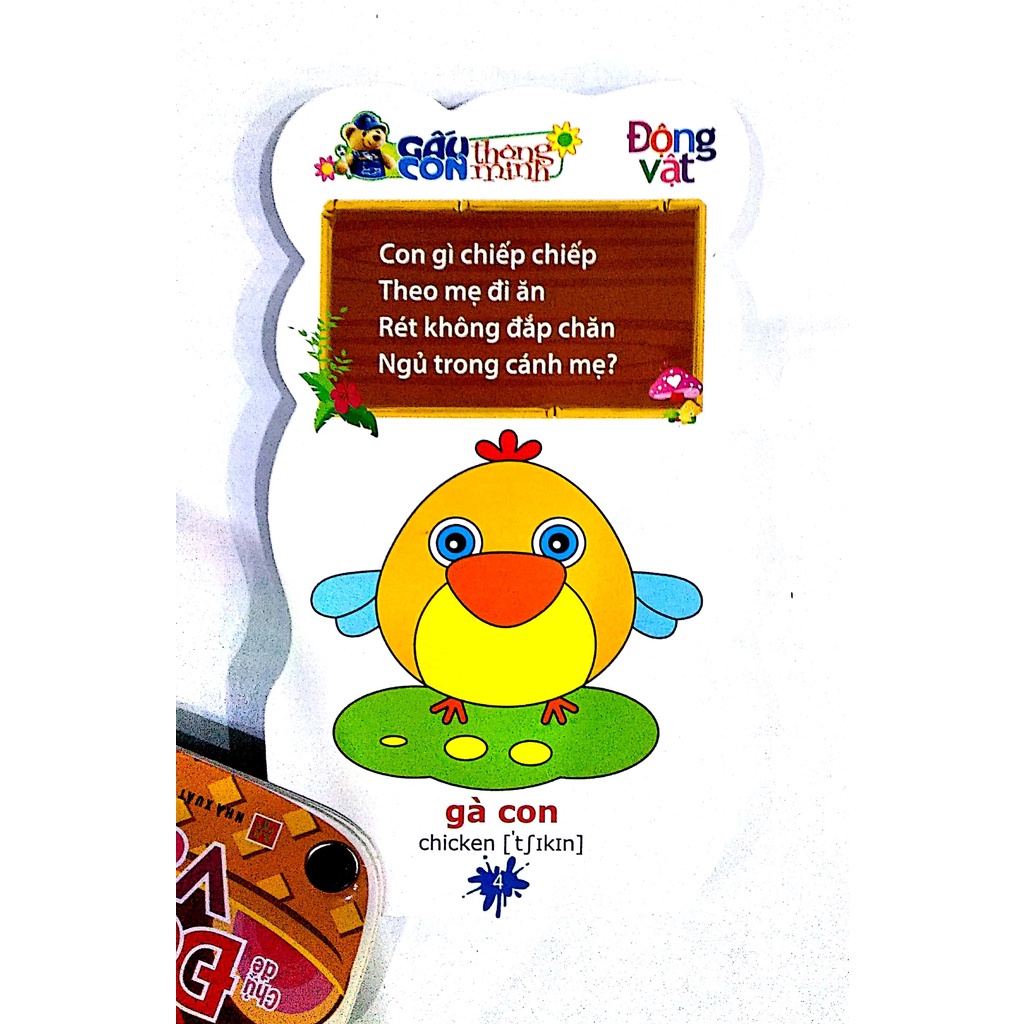 Sách: Gấu Con Thông Minh: Động Vật - TSMN