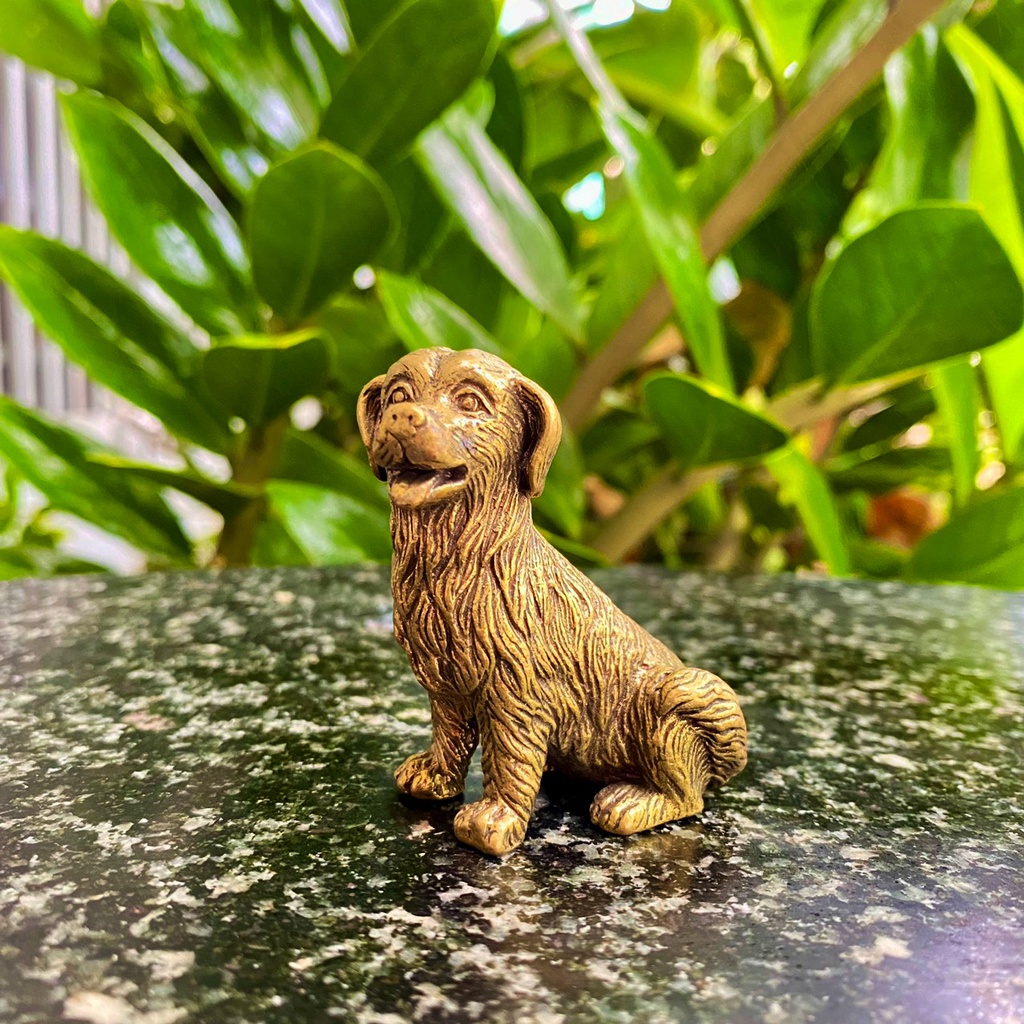 Tượng Đồng Chú Chó Golden Ngồi, Đem Lại Sự May Mắn Tài Lộc cho Người tuổi Tuất, Vật Phẩm Trưng Bày
