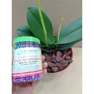 combo chăm sóc lan cao cấp giá cực sốc 💥💥
