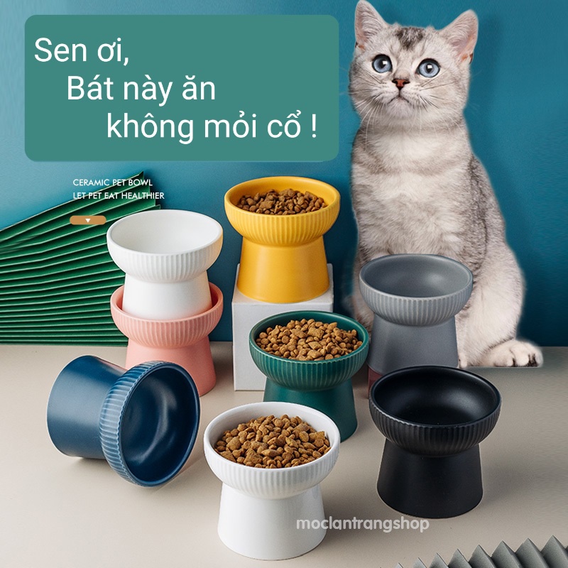 Bát ăn chân cao chống gù lưng cho mèo chống mỏi cổ bằng gốm sứ 300ml dày dặn, tô ăn đựng hạt cho mèo cao cổ chống trượt