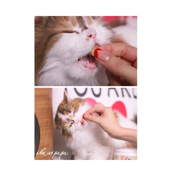 Dưỡng lông InKat cho mèo với chiết xuất lecithin và dầu tôm đỏ (250gr)