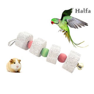 Đồ chơi mài răng dành cho thú cưng nhỏ