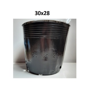 Set 1kg bịch bầu ươm cây các cỡ