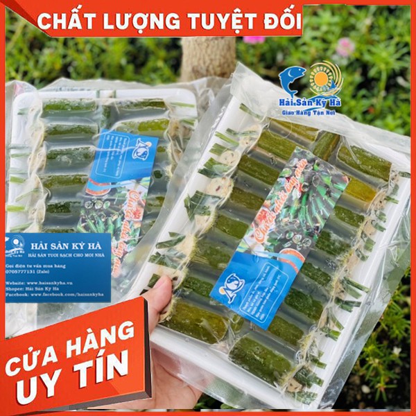 Giá Sỉ 1 Vĩ Ốc Nhồi Ống Nứa - Giá Sỉ Rẻ Nhất