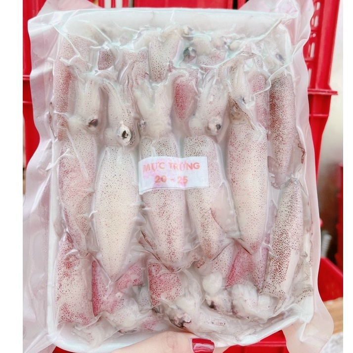 1kg Mực Trứng Siu Tươi Ngon ( size 20-25 con_ giao hỏa tốc HCM)