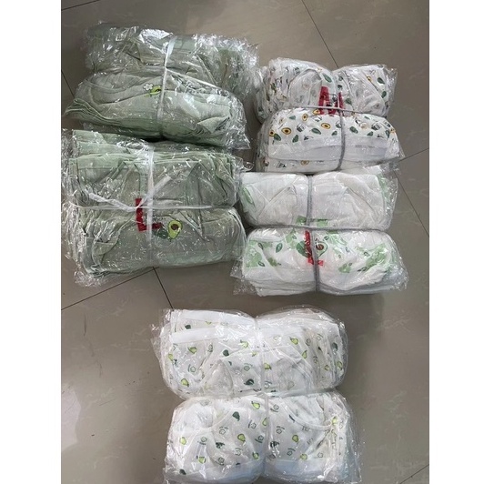 Hộp 5 quần lót nữ in hình quả dễ thương