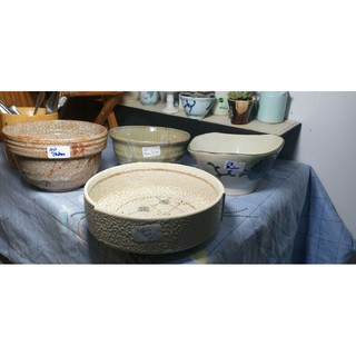 Combo chậu trồng sen đá