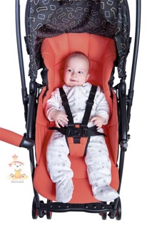 Xe đẩy Aprica Karoon