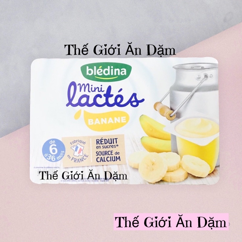 Sữa Chua Bledina Pháp 6m+ (Thế Giới Ăn Dặm)