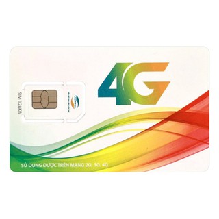 Phôi sim trắng 4G