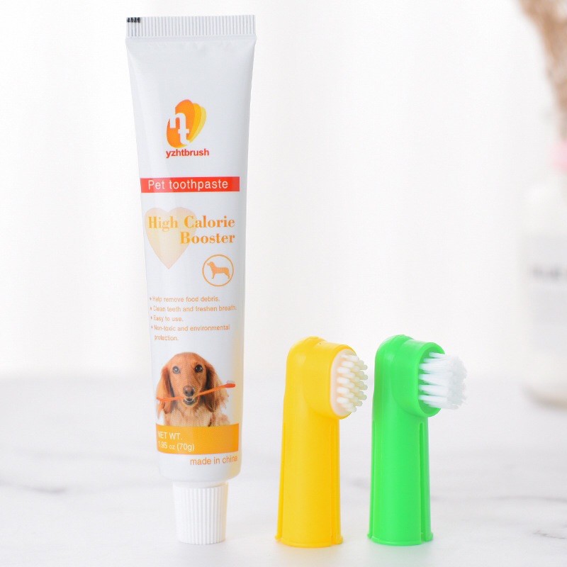 Bộ bàn chải và kem đánh răng dành cho chó mèo Pet Toothpaste, chăm sóc răng miệng thú cưng - Kitty Pet Shop B