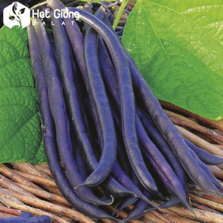 Hạt Giống Đậu Cove Tím - 1 gói 5gr