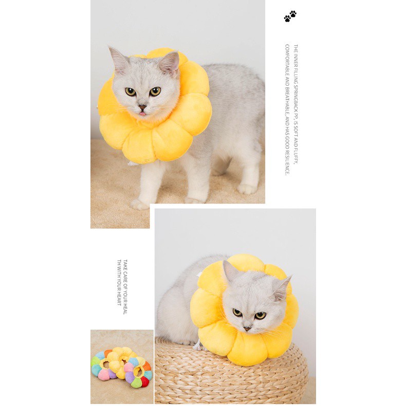Vòng cổ Elizabeth bằng cotton mềm mại hình hoa hướng dương cho thú cưng