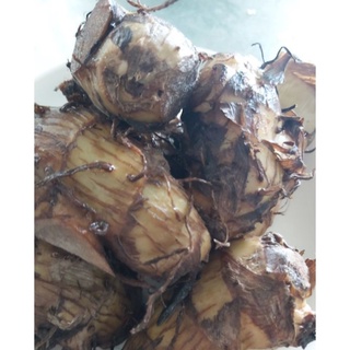 củ dong riềng đỏ_ củ tươi 2kg