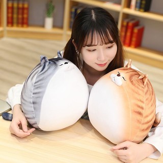 Mèo béo hàn quốc so ciu 4 màu - llamastore