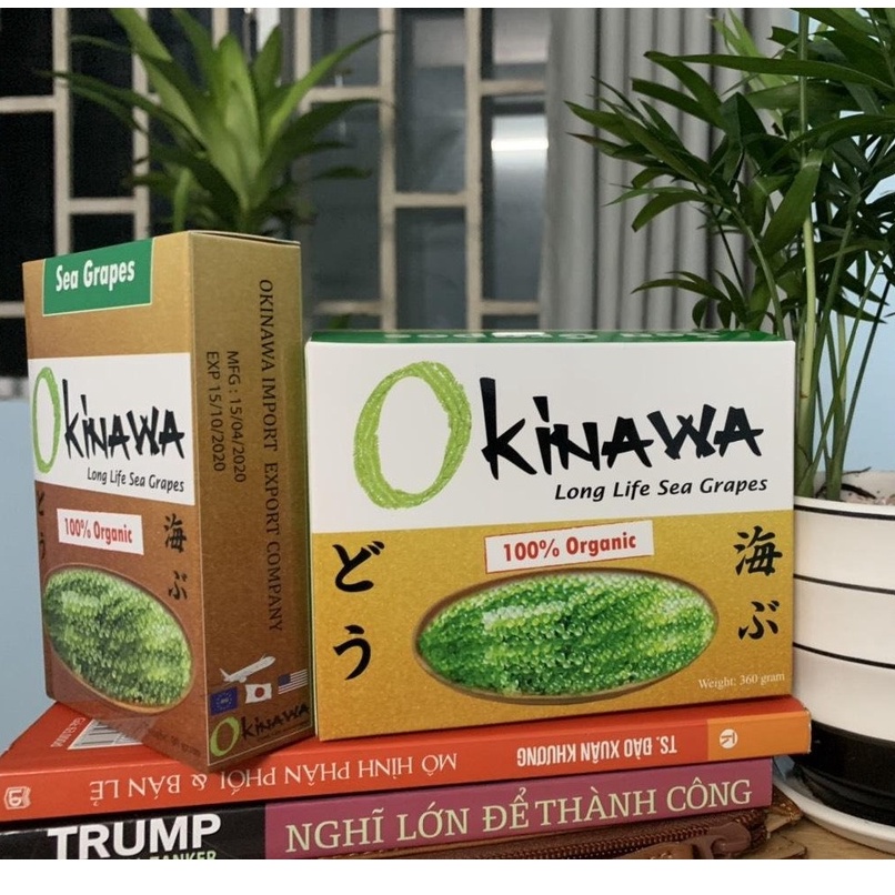 Rong nho Okinawa, Rong nho biển Nhật Bản 100% được nhiều gia đình ưu chuộng | BigBuy360 - bigbuy360.vn