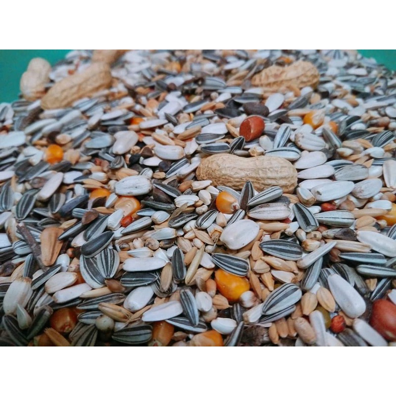Hạt trộn cho vẹt size lớn hàng Deli chiết lẻ túi 500g - 1kg