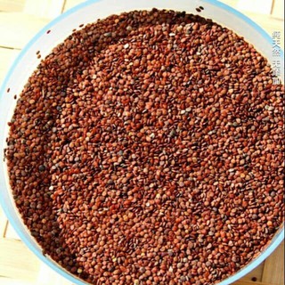 NGŨ HOA HẠT 1KG  HANMADE